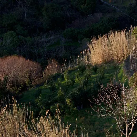 Arbanella 4* Corniglia