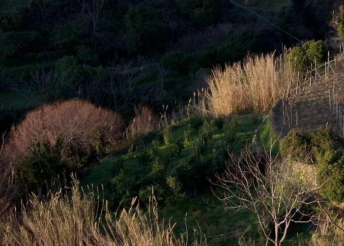 Arbanella 4* Corniglia