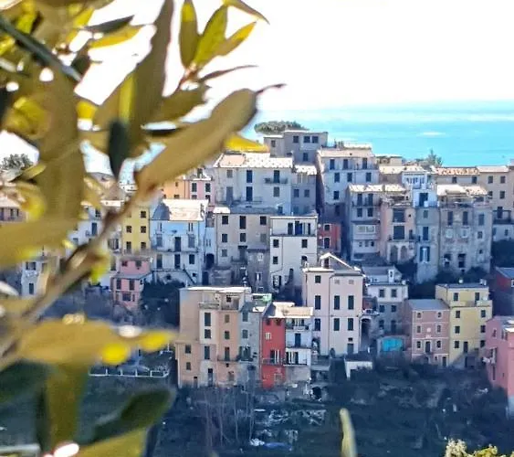 Affittacamere Arbanella Corniglia